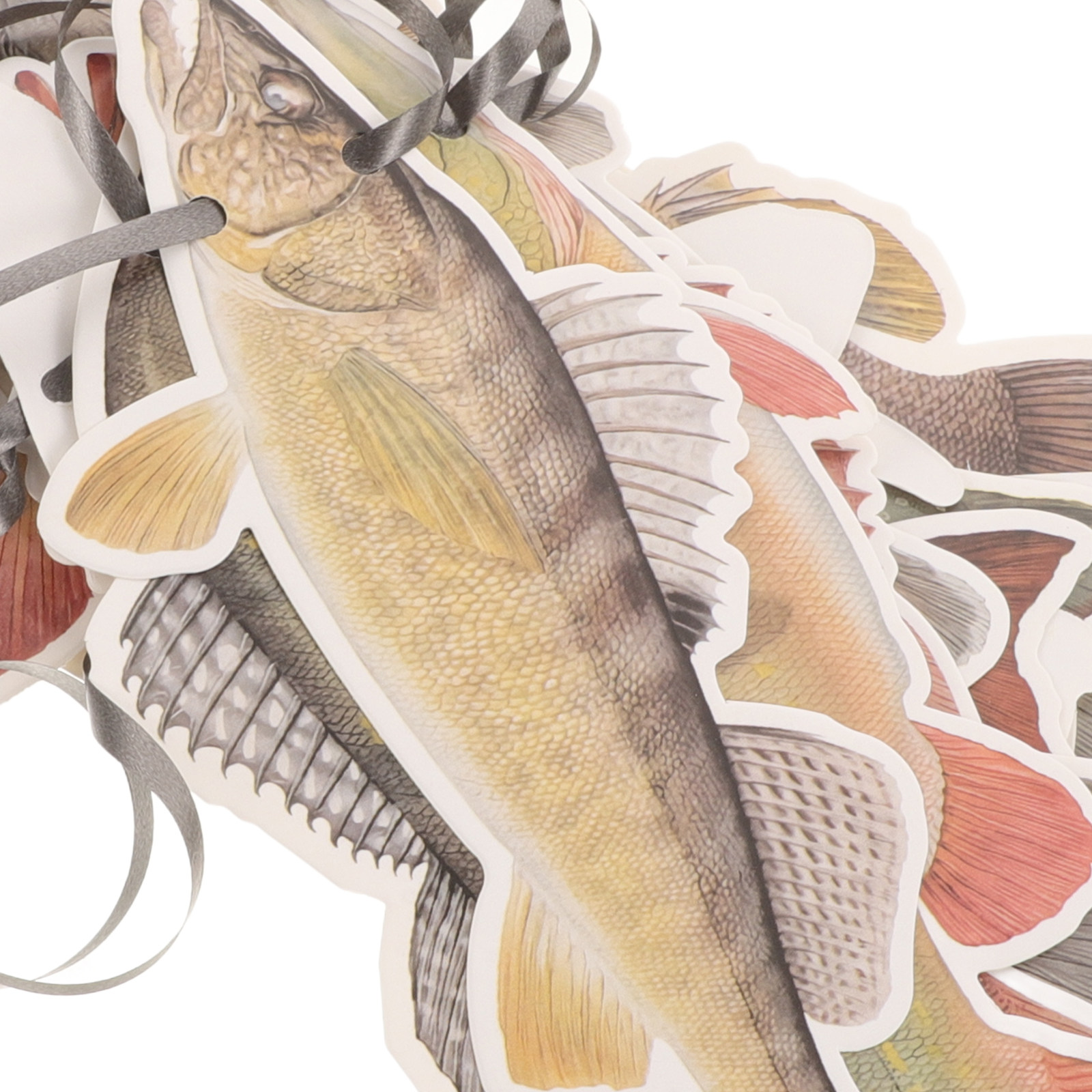 Fishing Birthday Decorations B - Fishing recension och pris
