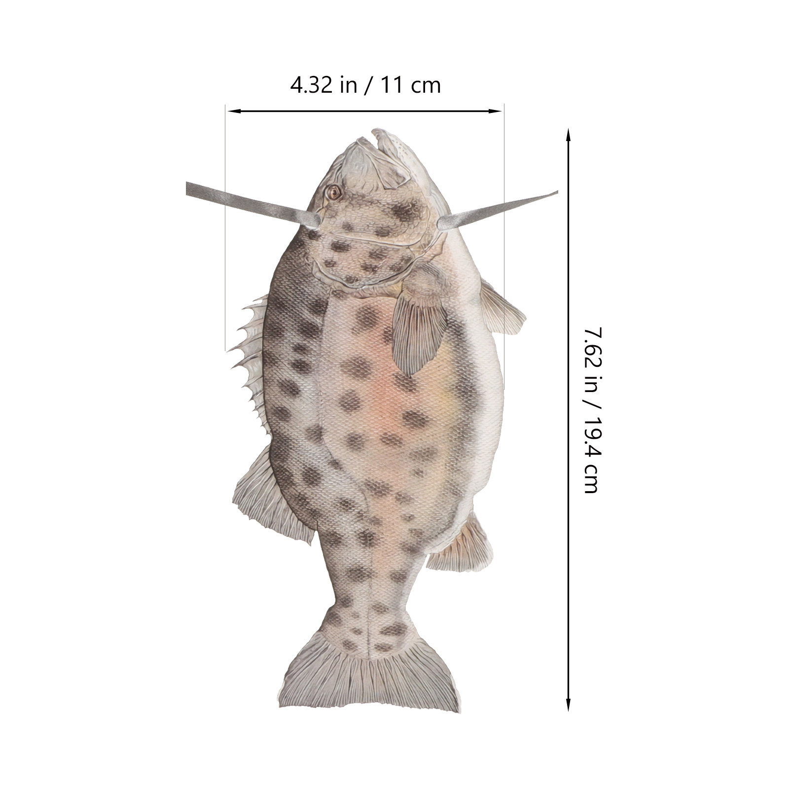 Fishing Birthday Decorations B - Fishing recension och pris